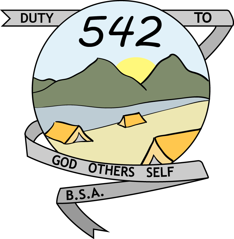 BSA Logo